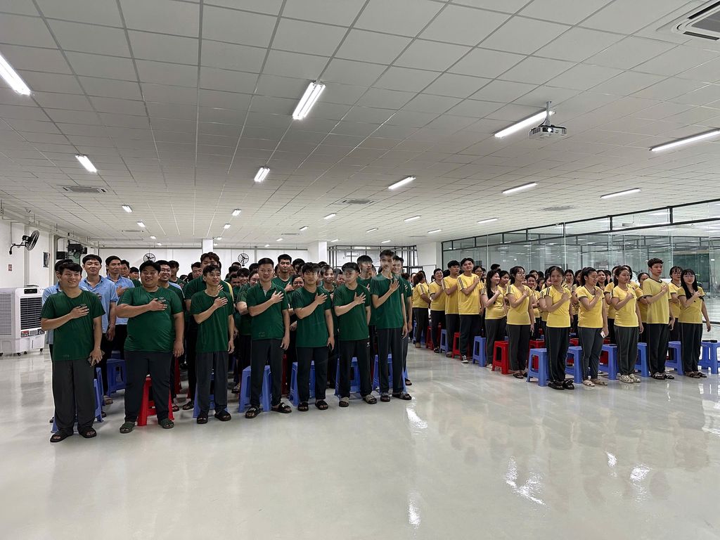 lĩnh vực hoạt động